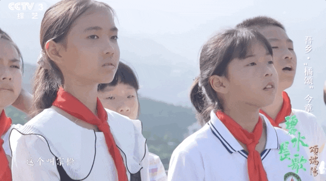 6405.gif